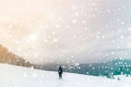 Back view of tourist hiker in warm clothing with backpack walking upward mountains covered with snow...
