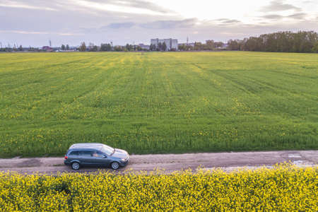 Aerial view of car driving by straight ground road through green fields with blooming rapeseed plants on sunny day. Drone photography.の写真素材