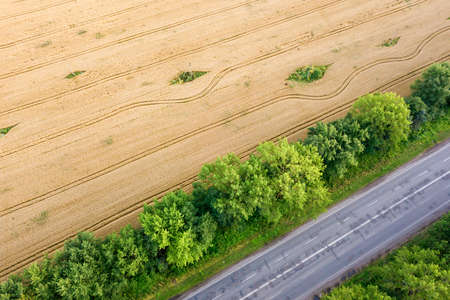 Aerial view of a road between yellow wheat fields and green trees.