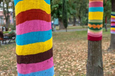Trees wearing colorful knitted scarves in autumn park. Care about nature and environment concept.の写真素材