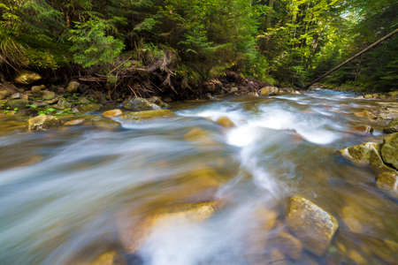 Fast flowing through wild green forest river with crystal clear smooth silky water falling from big...