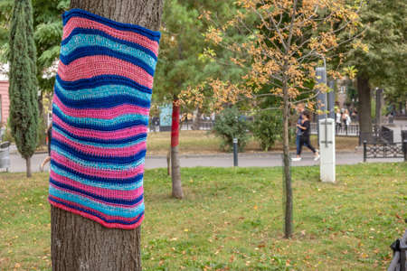 Trees wearing colorful knitted scarves in autumn park. Care about nature and environment concept.