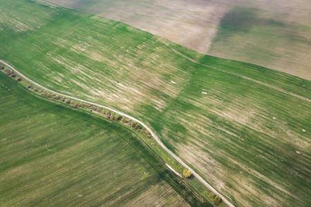Aerial view of green agriculture fields in spring with fresh vegetation after seeding season.の写真素材
