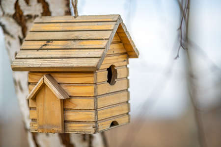 Small wooden bird house hanging on a tree branch outdoors.の写真素材