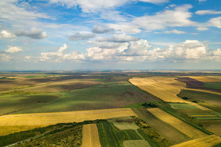 Aerial rural landscape with yellow patched agriculture fields and blue sky with white clouds.