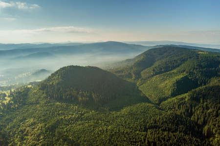 Aerial view of green mountain hills covered with evergreen spruce forest in summer.