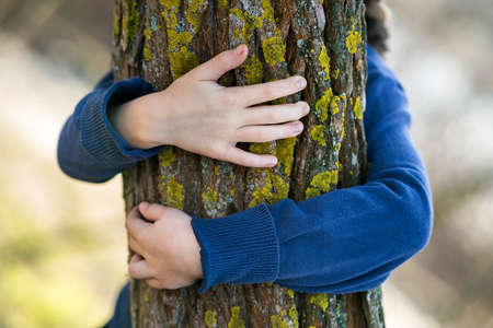Close up of child hands embracing a tree trunk.の写真素材