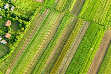 Aerial view of a small village win many houses and green agricultural fields in spring with fresh vegetation after seeding season on a warm sunny day.の写真素材