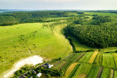 Aerial view of green agricultural fields in spring with fresh vegetation after seeding season on a...