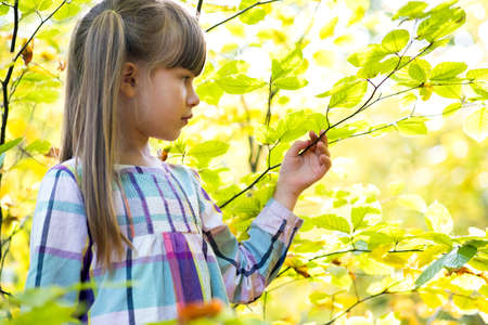 Portrait of happy pretty child girl having fun in autumn forest. Positive female kid enjoying warm day in fall park.の写真素材