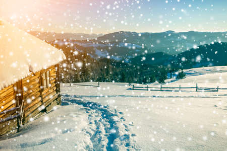 Winter Christmas landscape. Human footprint path in white deep snow at small wooden shepherd hut, spruce forest, woody dark mountain range, large snowflakes on clear blue sky copy space background.の写真素材