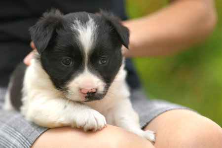Close up of a woman holding small puppy on her lap.