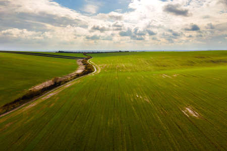 Aerial view of bright green agricultural field in early spring.の写真素材