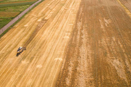 Aerial view of combine harvester harvesting large ripe wheat field. Agriculture from drone view.