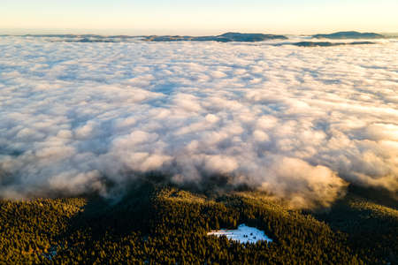 Aerial view of vibrant sunrise over mountain hills covered with evergreen spruce forest in autumn.