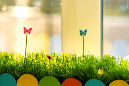 Close up of small green grass with special cute toys small butterflies. Concept of beautiful plants...