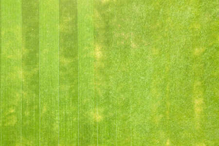 Close up aerial view of surface of green freshly cut grass on football stadium in summer.の写真素材