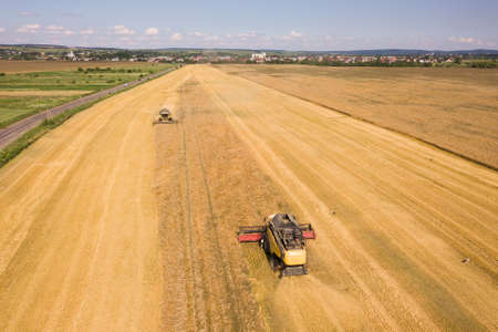 Aerial view of combine harvesters harvesting large yellow ripe wheat field.