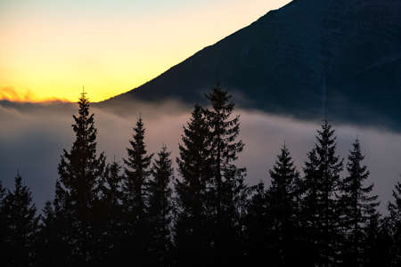 Beautiful mountain landscape with hazy peaks and foggy wooded valley at sunset.の写真素材
