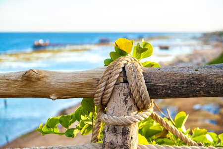 Closeup of old wooden fence covered with cloth ropes and green vegetation.の写真素材