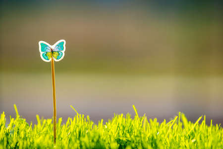 Close up of small green grass with special cute toy small butterfly. Concept of beautiful plants with decoration.の写真素材