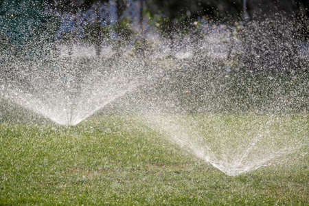 Plastic sprinkler irrigating grass lawn with water in summer garden. Watering green vegetation duging dry season for maintaining it fresh.の写真素材
