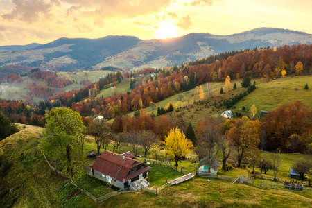 Aerial view of small shepherd houses on wide meadow between autumn forest in Ukrainian Carpathian...