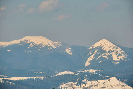 Winter landscape with high mountain hills covered with evergreen pine forest after heavy snowfall on...