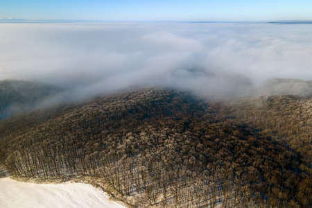 Aerial view of winter landscape with dark bare forest trees covered with dense fog.