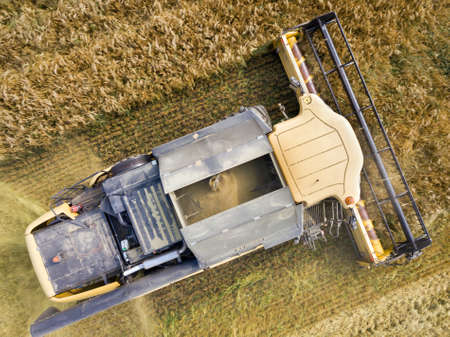Aerial view of combine harvester harvesting large ripe wheat field. Agriculture from drone view.
