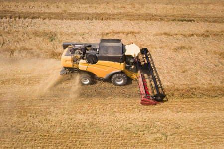 Aerial view of combine harvester harvesting large ripe wheat field. Agriculture from drone view.の写真素材