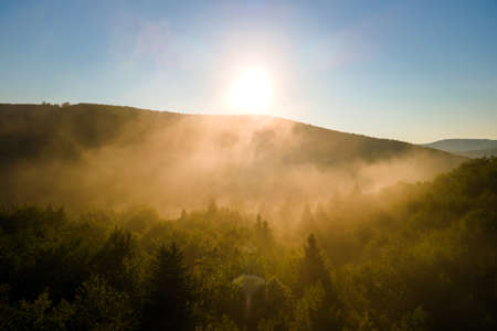 Aerial view of bright foggy morning over dark forest trees at warm summer sunrise. Beautiful scenery of wild woodland at dawn.の写真素材