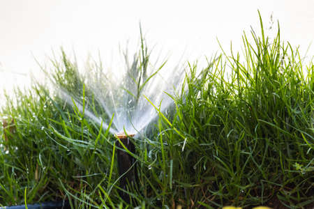 Plastic sprinkler irrigating grass lawn with water in summer garden. Watering green vegetation duging dry season for maintaining it fresh.の写真素材