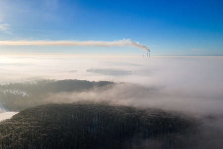 Aerial view of winter landscape with dark bare forest trees covered with dense fog.の写真素材