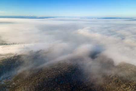 Aerial view of winter landscape with dark bare forest trees covered with dense fog.の写真素材