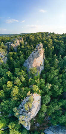 Panoramic view of bright landscape with green forest trees and big rocky boulders between dense woods in summer. Beautiful scenery of wild woodland.の写真素材