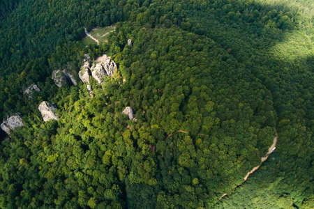 Aerial view of bright landscape with green forest trees and big rocky boulders between dense woods in summer. Beautiful scenery of wild woodland.の写真素材