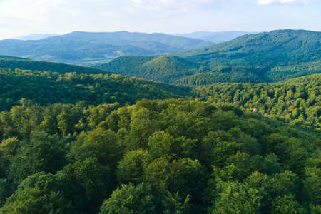 Aerial view of mountain hills covered with dense green lush woods on bright summer day.