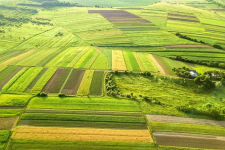 Aerial view of green agricultural fields in spring with fresh vegetation after seeding season on a...