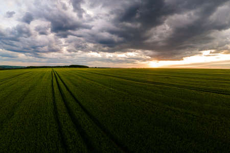 Aerial landscape view of green cultivated agricultural fields with growing crops on bright summer...