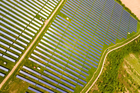Aerial view of big sustainable electric power plant with many rows of solar photovoltaic panels for...