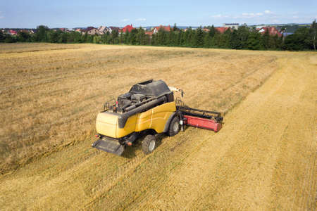 Aerial view of combine harvester harvesting large ripe wheat field. Agriculture from drone viewの写真素材