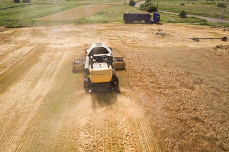 Aerial view of combine harvester harvesting large ripe wheat field. Agriculture from drone view