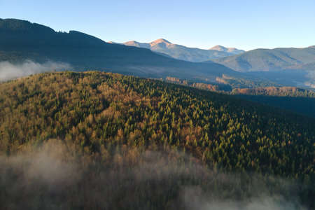 Aerial view of bright foggy morning over dark mountain forest trees at autumn sunrise. Beautiful...