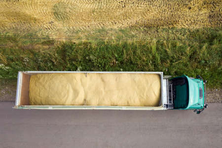 Aerial view of cargo truck driving on dirt road between agricultural wheat fields. Transportation of...