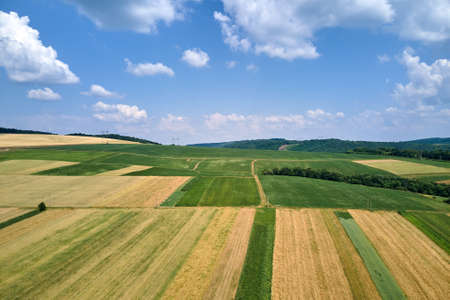Aerial landscape view of green and yellow cultivated agricultural fields with growing crops on...