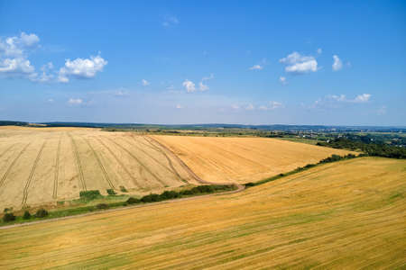 Aerial landscape view of yellow cultivated agricultural field with dry straw of cut down wheat after harvestingの写真素材