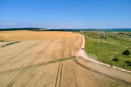 Aerial landscape view of yellow cultivated agricultural field with ripe wheat on bright summer dayの写真素材