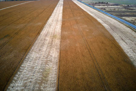 Aerial landscape view of yellow cultivated agricultural field with ripe wheat on bright summer day
