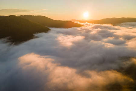 Aerial view of amazing scenery with foggy dark mountain forest pine trees at autumn sunrise. Beautiful wild woodland with shining rays of light at dawnの写真素材